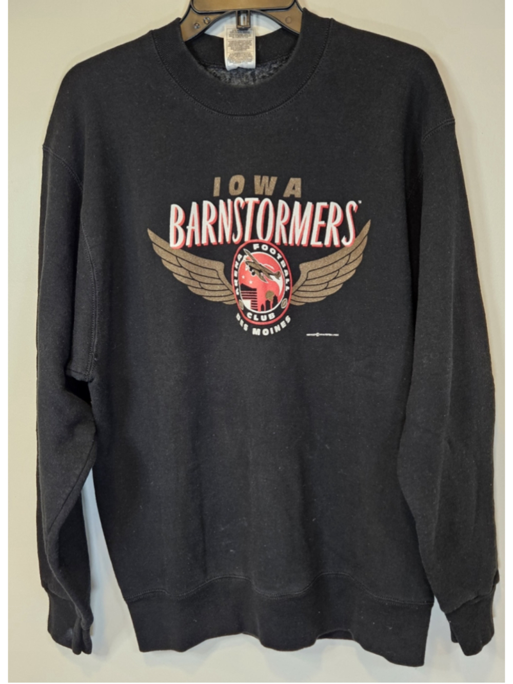 Vintage 90s Iowa Barnstormers Sweatshirt Arena Football USA Large AFL